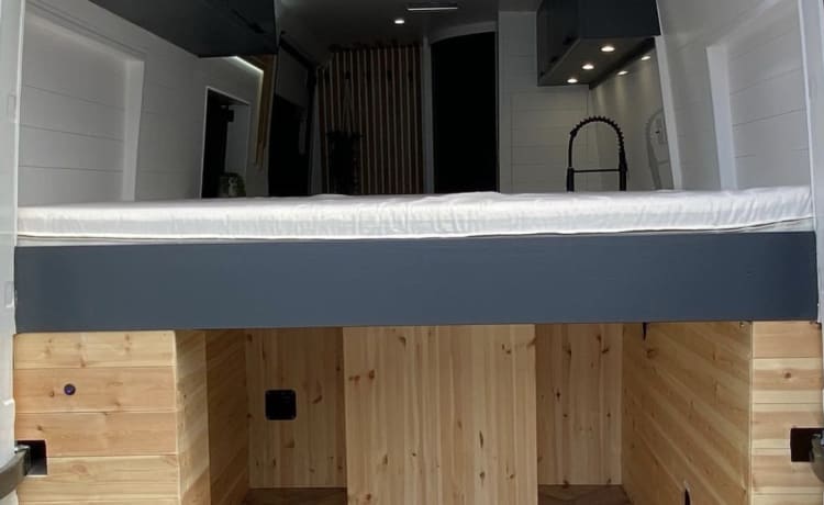 Off grid luxe Volkswagen crafter 2020 (3 slaapplaatsen)