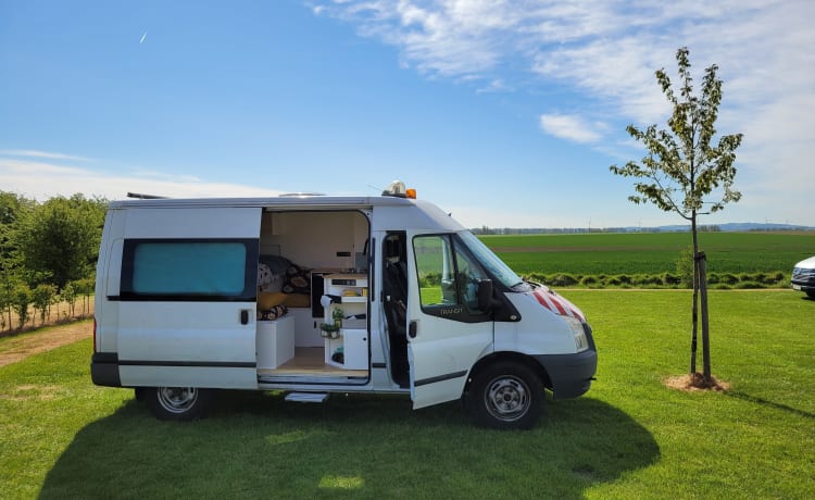 Bustave YFL – Gemütlicher DIY-Van Ford Transit