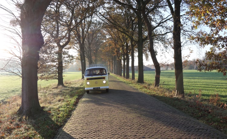 John Lemon – 6p Volkswagen bus uit 1984