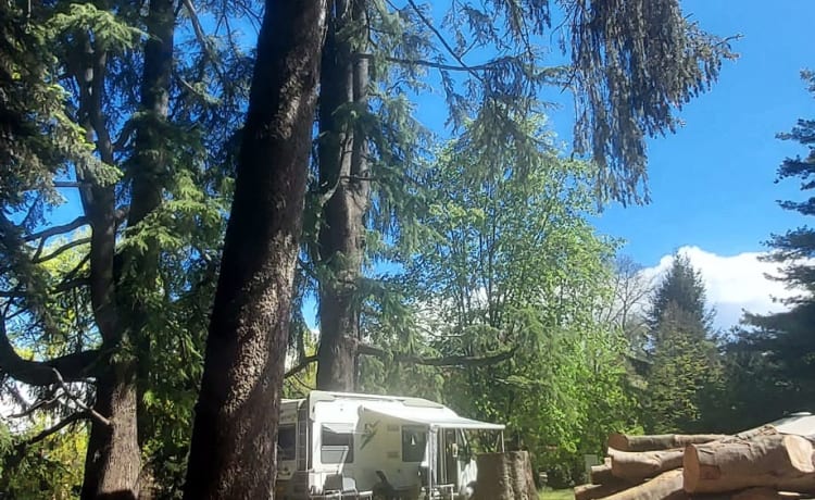 Camping-car intégral Fiat soigné et chaleureux, 4p