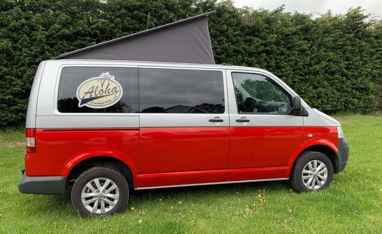 VW T6 – Aloha beach camper citron, très luxueux à l'intérieur