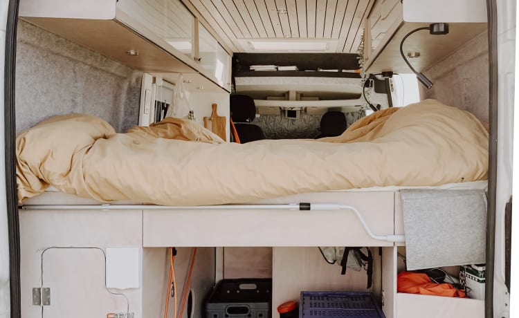 Explorer – Compact Peugeot Bus camper