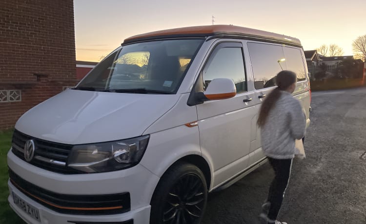 Nessie – VW T6 Wohnmobil