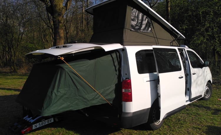 4 person electric camping bus from 2021