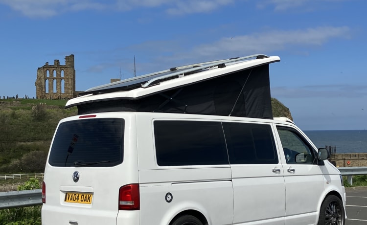 Salty sea dog  – 4 berth Volkswagen bus from 2012