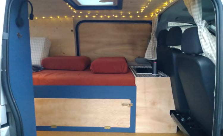 Sally – Mercedes-Benz camper met 2 slaapplaatsen uit 2006