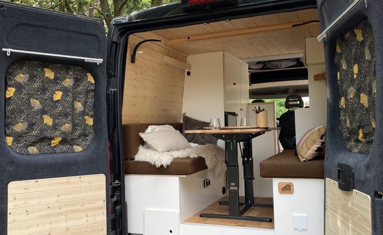 NOYR on Wheels – Beautiful black bus camper (4 people)