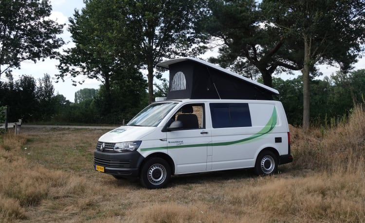 California 2 – Volkswagen bus camper