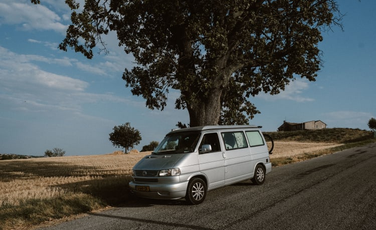 4er Volkswagen Bus aus dem Jahr 2003