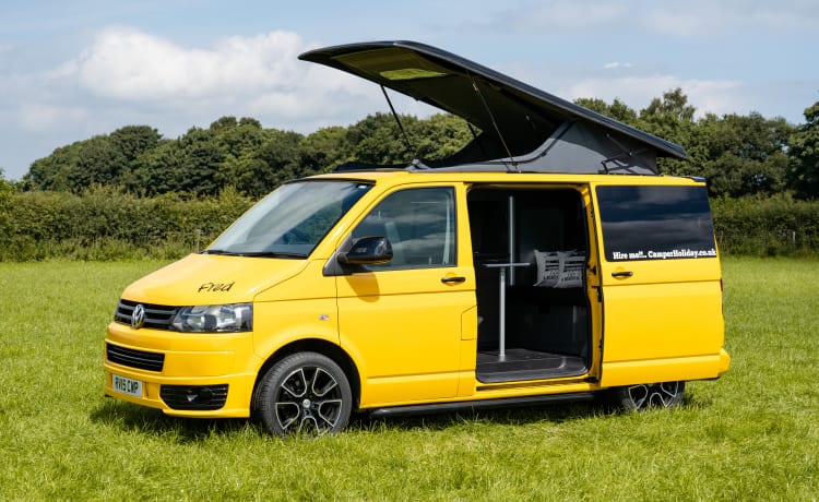 Fred – Fred VW T5