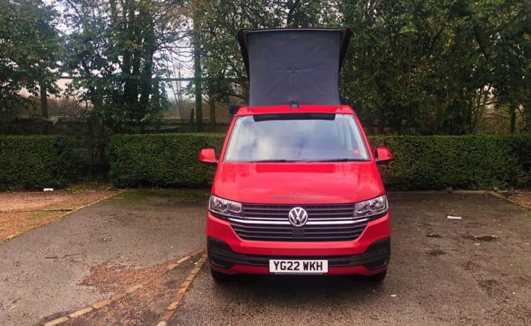 Liberty – 2022 VW T6.1 CALIFORNIA Wohnmobil 4 Schlafplätze - Automatik