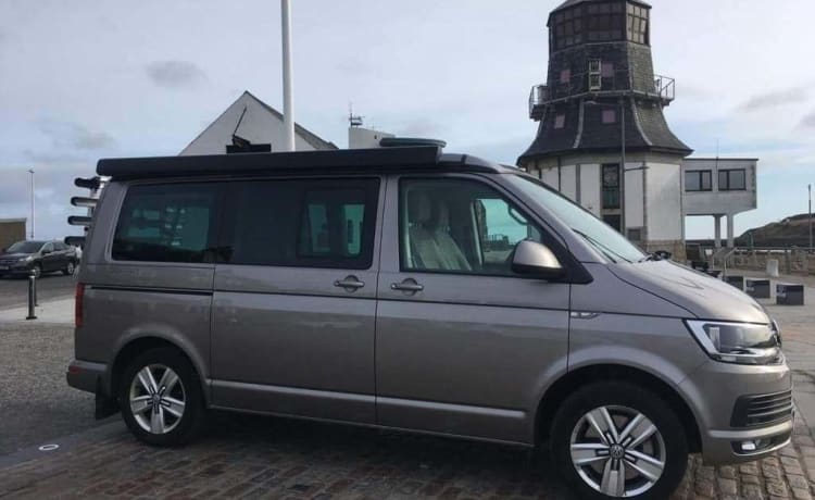 Tammie Norrie – 4-persoons Volkswagen campervan uit 2017