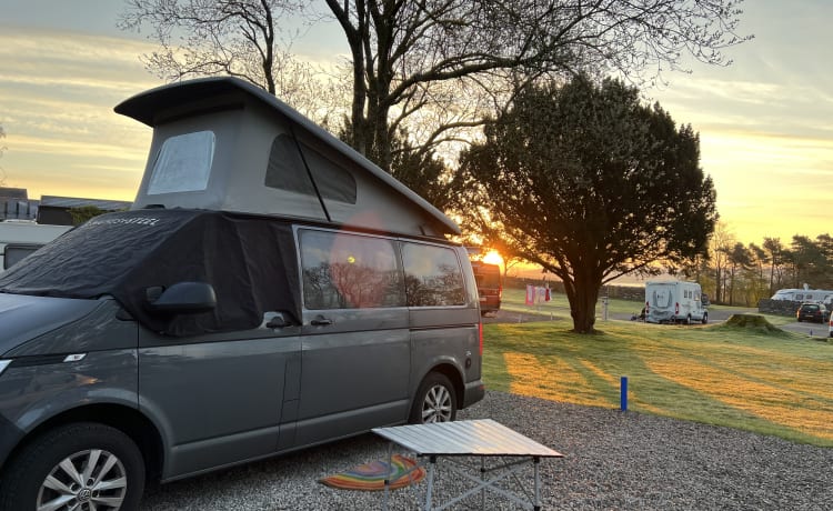 Shelagh – 4 berth Volkswagen campervan 2020- Insurance included 