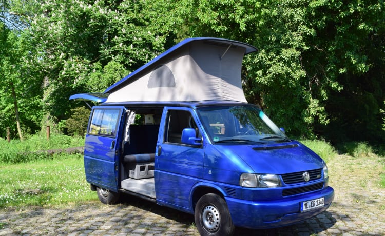 Blue – Cult classico originale Westfalia California