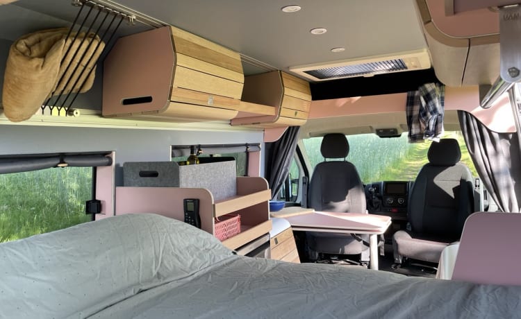 Roze Roadtripper – Compacte modulaire buscamper voor 2 personen 