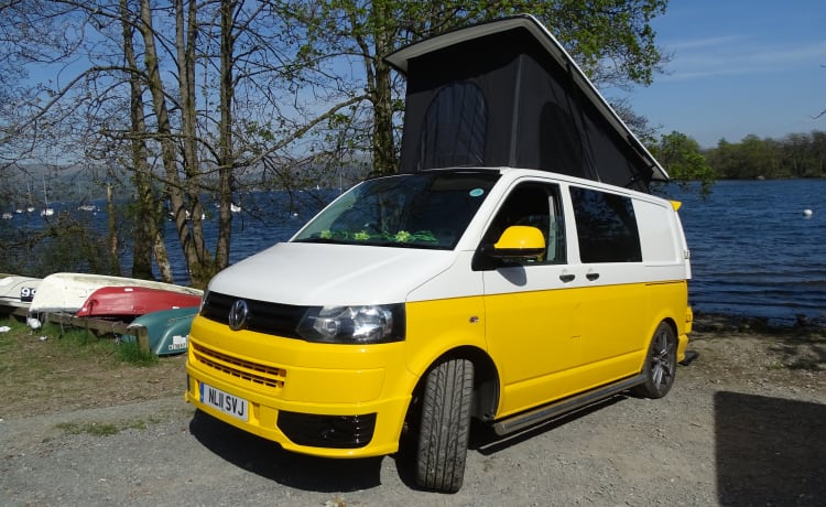 Daisy – Gänseblümchen - VW T5 Wohnmobil