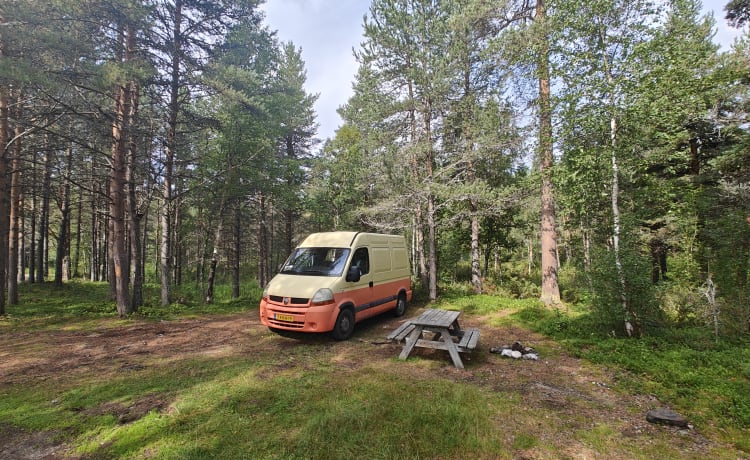 To the 'MOON' and back – 🌒Cozy 2p Renault campervan uit 2004