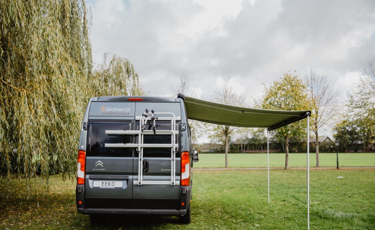 beau bus Pössl 2p de 2018