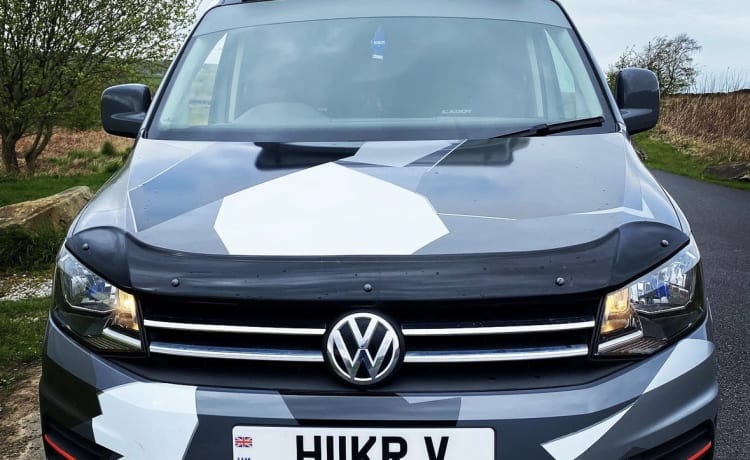 Hiker vehicle  – 4-persoons Volkswagen campervan uit 2016