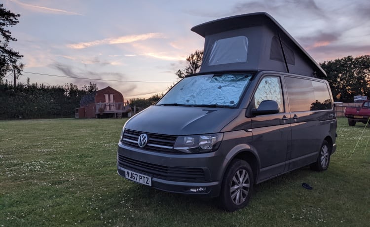 EsteVan – 4-persoons Volkswagenbus uit 2017