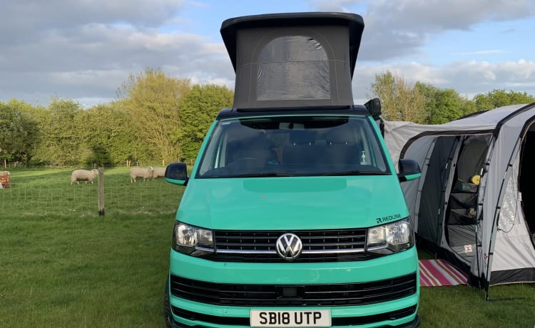 The Green Machine – 4 berth Volkswagen campervan from 2018