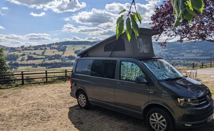 EsteVan – 4 berth Volkswagen bus from 2017