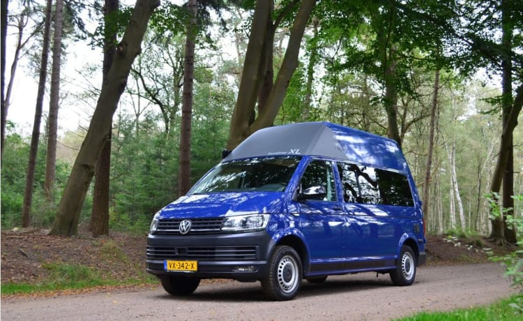 Harry – LUXE 5p Volkswagen SUNLINER XL buscamper, Wintercamperen mogelijk!