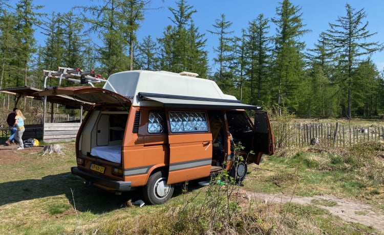 Mooie Volkswagen T3 Joker camper met hoogdak