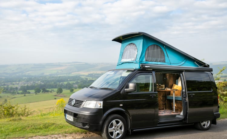 Ringo – VW Transporter -  Poptop Campervan