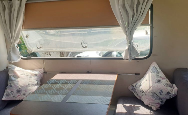 Bodo  – Camper directly delivered to the island of Elba 