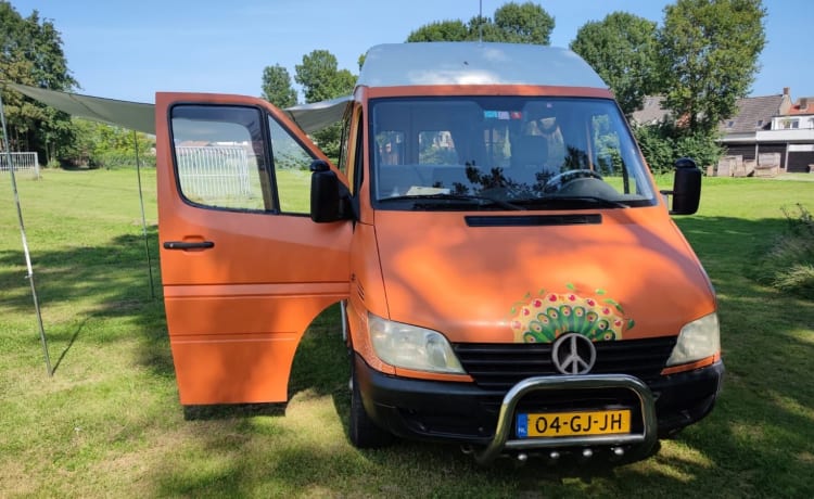 Sput – Looking for adventure? 2p Mercedes-Benz Bus Camper from 2000!