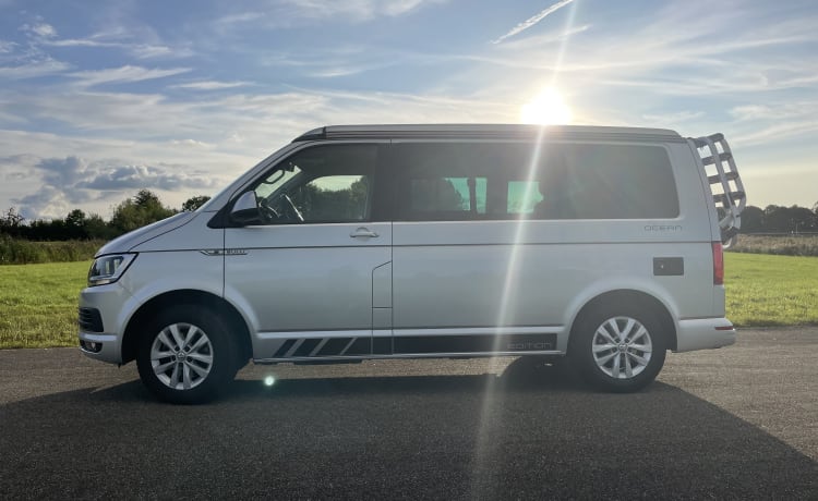 Bulli – Voiture d'origine VW California Ocean T6. Euro6