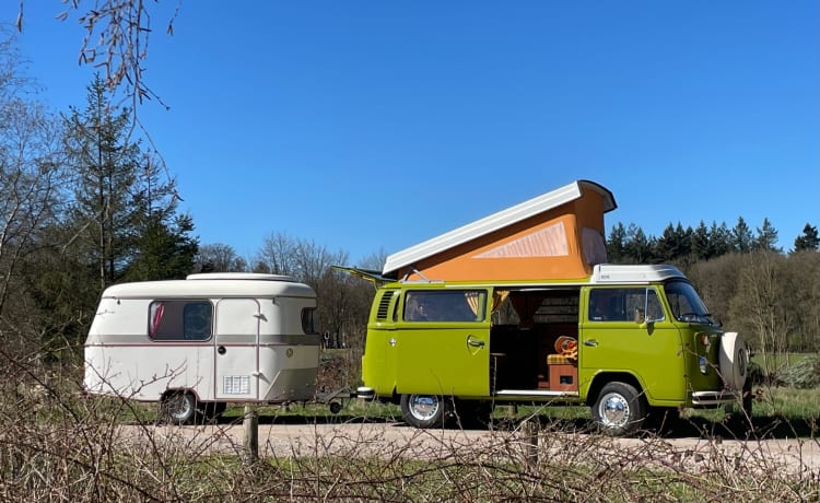 De Groene – Volkswagen T2 uit 1977, perfecte conditie