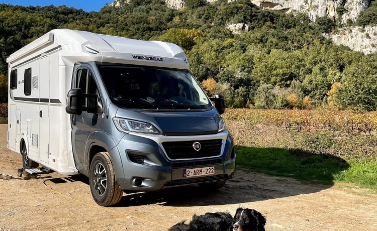 Basielmobil – Weinsberger Carasuite * chien preuve * 2021