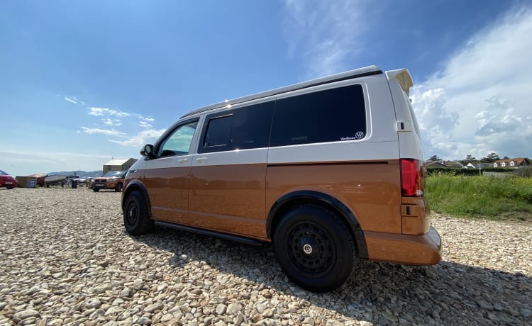 VW T6.1 Family Campervan in der Nähe von Somerset, Devon & Dorset Borders