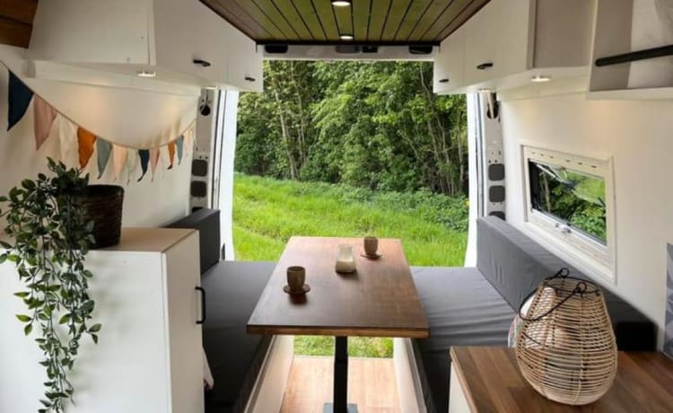 Maui  – Volkswagen Crafter Campervan 