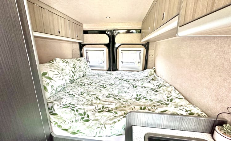 Camper Fiat Ducato 4 Posti Letto