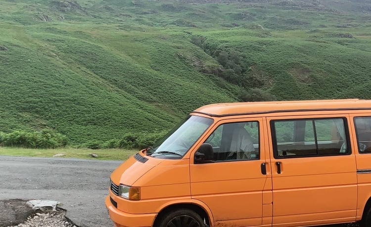 Autumn – Autumn the VW T4 Campervan | Back to Nature Adventure!