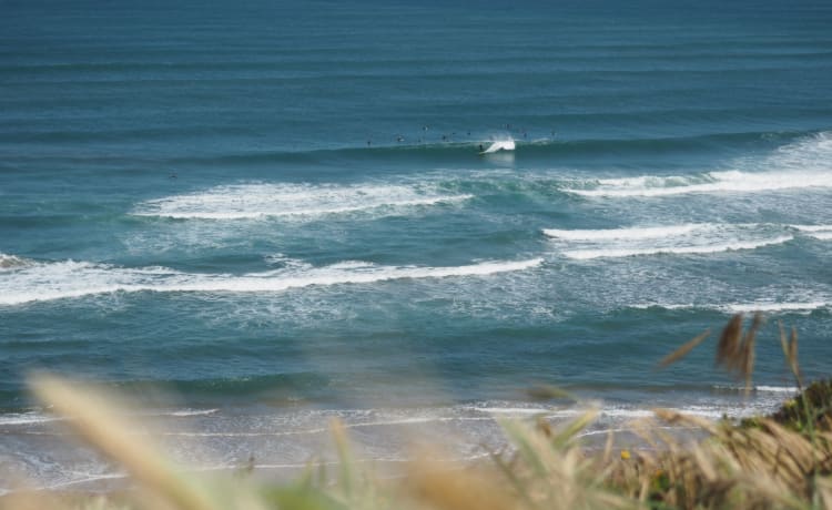 Migaloo (Burgau, Lagos, Algarve, Portugal)