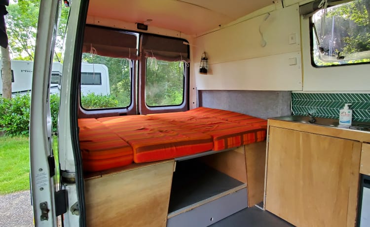 Retro Ronnie – Cozy and spacious (family) bus camper