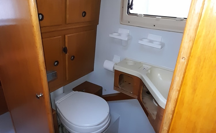 Camper 7 posti dotato di ogni comfort 