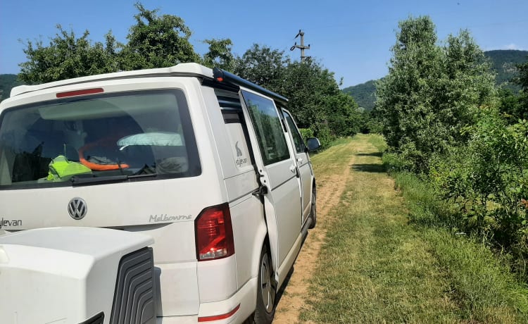 2 tot 6 personen Volkswagen Style VAN