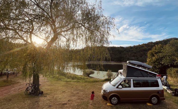 BATmobiel :) – VW California T6.1 avec chauffage de stationnement