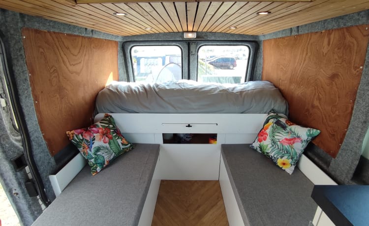 Joey – Unique and attractive camper van