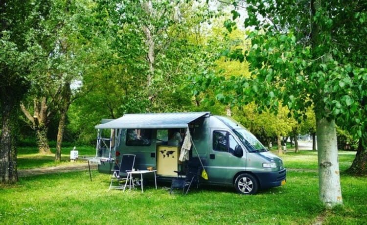 Safari – Bus compatto camper Safari (incl. assicurazione contro tutti i rischi a € 23,60 al giorno)