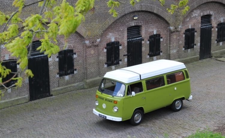 Westfalia – Prachtige Klassieke Camper Te Huur! Oldtimer VW Busje huren - T2 Westfalia