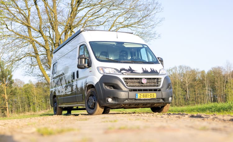 3p Fiat campervan uit 2018