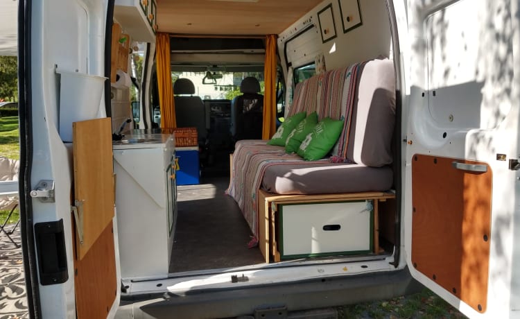 Ferdinand Ford – Ford Transit camper van from 2021 two persons.