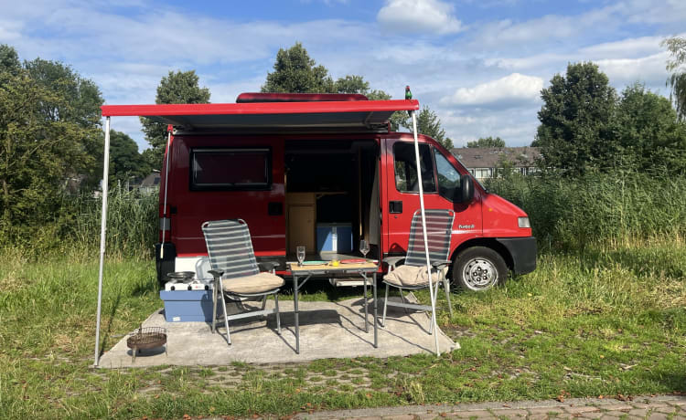 Betsie – Joli camping-car compact (nombreux kilomètres gratuits)