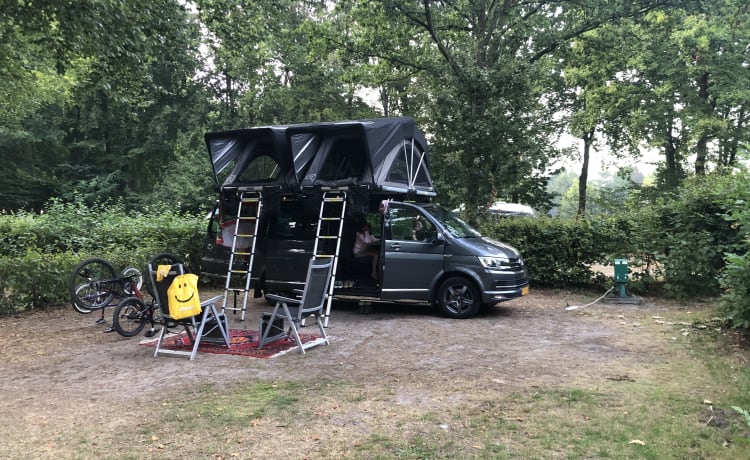 Easy rider  – VW Caravelle 4 persoons kampeer bus (bezorging mogelijk)